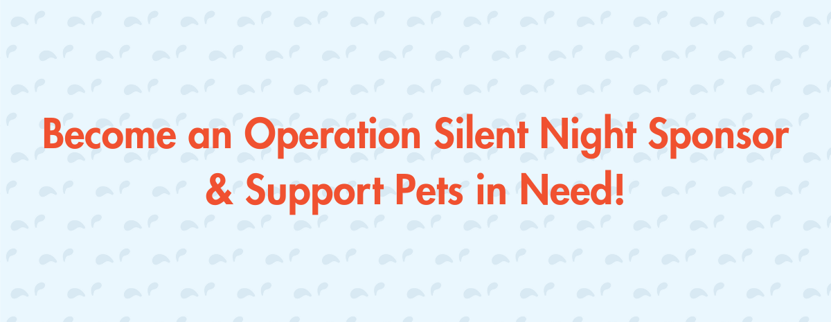 Operation Silent Night 2025